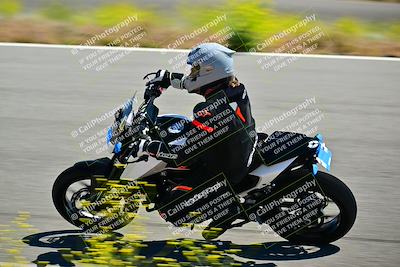 media/May-10-2024-2WTD (Fri) [[c88d7990af]]/Group B/Session 2-The Bowl/